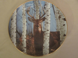 AUTUMN SENTINEL collector plate BOB TRAVERS Wildlife WHITE TAILED DEER - £15.72 GBP