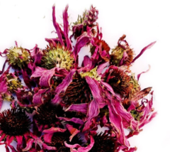 Echinacea flower Tea Herbal for flu and colds, Echinacea purpurea, extra quality - £4.49 GBP+