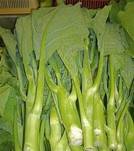 250 Heirloom Kailaan Chinese Broccoli Kale Kai Lans Asian Green Gai Lan ... - £6.28 GBP