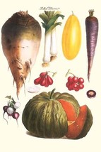 Vegetables: Melon, Purple carrot, cherry tomatoes, onions, turnip, leek 20 x 30  - £20.37 GBP