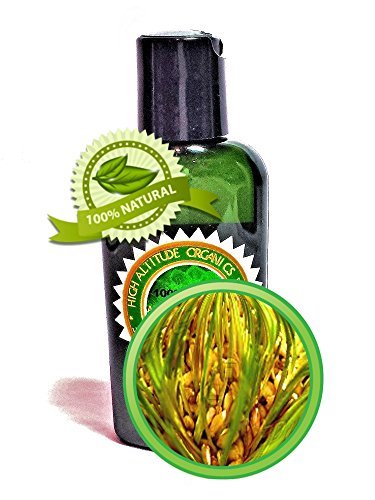 Wheat Germ Oil - 2oz - Virgin, Cold-pressed