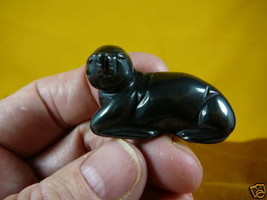 (Y-SEAL-553) SEAL carving BLACK hematite gem stone FIGURINE baby seals s... - $14.01