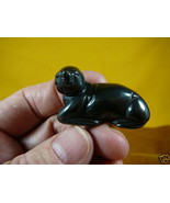 (Y-SEAL-553) SEAL carving BLACK hematite gem stone FIGURINE baby seals s... - $14.01