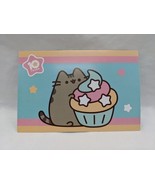 2020 Winter Box Pusheen Box Flyer - $182.84 MXN