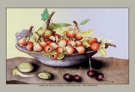 A Dish of Small Pears With Medlars and Cherries by Giovanna Garzoni - Art Print - £17.52 GBP+