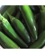 Wild West Organics Serrano Pepper Seeds (Medium Hot) - £9.87 GBP