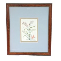 Vintage Signed Mary Vincent Bertrand Butterfly Floral 1697 / 1900 Framed Print - £68.12 GBP