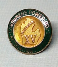 MICHIGAN CONSUMERS POWER COMPANY RECOGNITION SERVICE 15 YEAR PIN 10K GF ... - £28.06 GBP