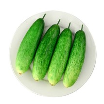 Best 25 Seeds New York Cucumbers Fresh New Crop Planting Vegetable Garden Pickli - £3.84 GBP