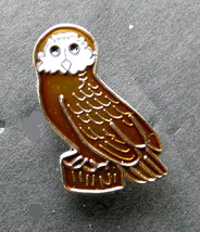 Owl Bird Of Prey Lapel Pin Badge 7/8 Inch - £4.32 GBP