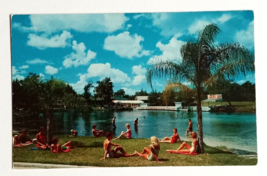 Weeki Wachee Spring of Mermaids Florida Attraction Koppel Cards Postcard 1960s d - £7.70 GBP