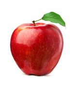 KBT Amazing Andrea Apple Tree Seeds 20 Seeds Grow Fresh Apples Bulk Seeds - $19.75