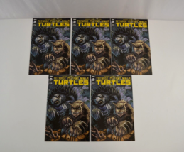 Teenage Mutant Ninja Turtles #114 Cover B Mirage Studios Comic x5 VF/NM 9.0 - £19.32 GBP