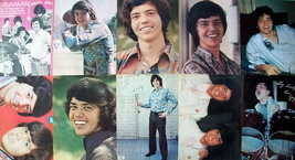JAY OSMOND ~ Fourteen (14) Color, B&amp;W Vintage PIN-UPS from 1971-1975 ~ C... - $10.92