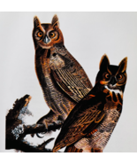 1979 Great Horned Owl Color Plate Print Audubon Birds Of America Vintage... - $651.47 MXN