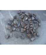 Box of Petrified Wood From Wyoming - $50.00