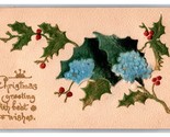 Christmas Greetings Holly Felt Applique Embossed Unused DB Postcard O18 - $6.29