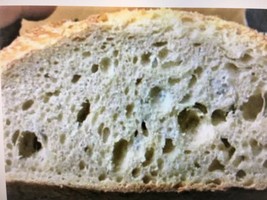 French Bread San Francisco Sourdough Starter Yeast Sally - $9.00