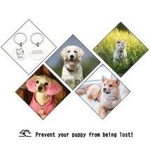 Personalized Cat ID Tag Anti-lost Mirror Pet Name Tags Plates Free Engraving Cat - £3.33 GBP+