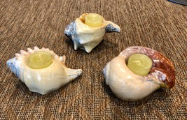 Yankee Candle Ceramic Conch Shell Votive Tea Light Holders Beach Seashel... - £27.97 GBP