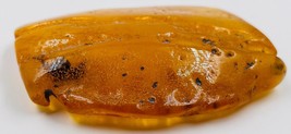 Amber Stone Collector s Amber Piece Healing Stone Raw Genuine Amber stone - £229.49 GBP