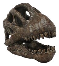 Faux Taxidermy Replica Brachiosaurus Dinosaur Head Fossil Small Skull Fi... - $37.99