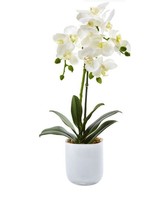 Nearly Natural Phalaenopsis in Frosted Glass Artificial Flowers White - $42.52