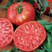 HS 50 Seeds Brandywine Tomato Juicy Tomatoe Vegetable Garden Edible - $5.49