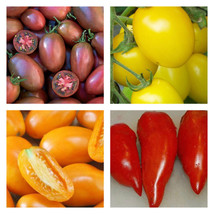 Paste Tomato Mix Seeds | Sauce | Canning | Processing Heirloom FRESH - £18.46 GBP