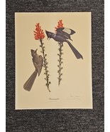 Ray Harm Limited Edition Hand Signed Print &quot;Phainopepla” Crest X Wildlif... - €21,30 EUR