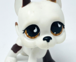 Littlest Pet Shop LPS Great Dane 750 Dog Brown White Toy Figure - £31.85 GBP