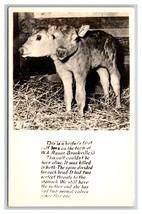 RPPC Spotty&#39;s 2-Headed Freak Calf Brookville Ohio OH UNP Postcard Y15 - £13.29 GBP