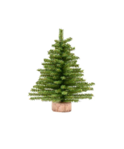 Kurt Adler 18&quot; Artificial UN-LIT Canadian Pine Mini Christmas Tree TR0046 - £19.94 GBP