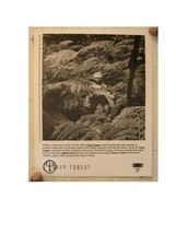 Deep Forest Press Kit And Photo  Boheme - £21.15 GBP