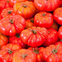 40 seeds Heirloom &#39;Summer Pink&#39; Big Truss Tomato - $155.32 MXN