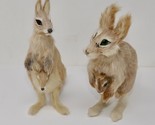 Kangaroo &amp; Baby Joey Real Fur 6&quot; Animal Taxidermy Figurines - $49.49
