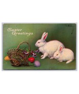 Colored Eggs White Rabbits Easter Greetings UNP DB Postcard S18 - €4,16 EUR