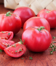 FRESH Bradley Tomato Seeds | Heirloom | Bulk | Wholesale | Canning - $12.00