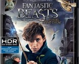 Fantastic Beasts 4K UHD Blu-ray / Blu-ray | Eddie Redmayne | Region B - £19.61 GBP