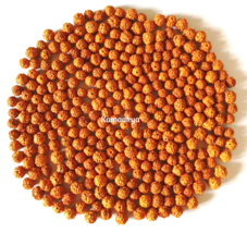 Rudraksh Rudraksha Loose Beads Holy Hindu 540 + 5 Beads 8MM Beads Size Energized - £18.40 GBP