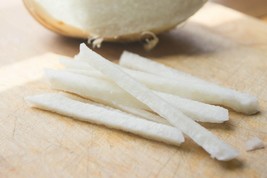 Jicama Seeds Pachyrhizus Erosus Mexican Yam Bean Mexican Turnip 20 Seeds Fresh S - £4.61 GBP