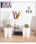 3 pcs,Tooth Shaped Planter Pots, Small Ceramic Succulent Pots, mini, pot... - $24.88