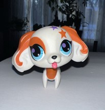 Rare Littlest Pet Shop AUTHENTIC Totally Talented Cocker Spaniel Puppy D... - £7.80 GBP