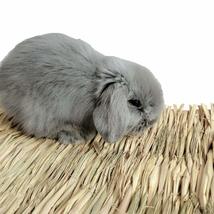 Grass Mat Woven Bed Mat for Small Animal Bunny Bedding Nest Chew Toy Bed Play To - £18.74 GBP