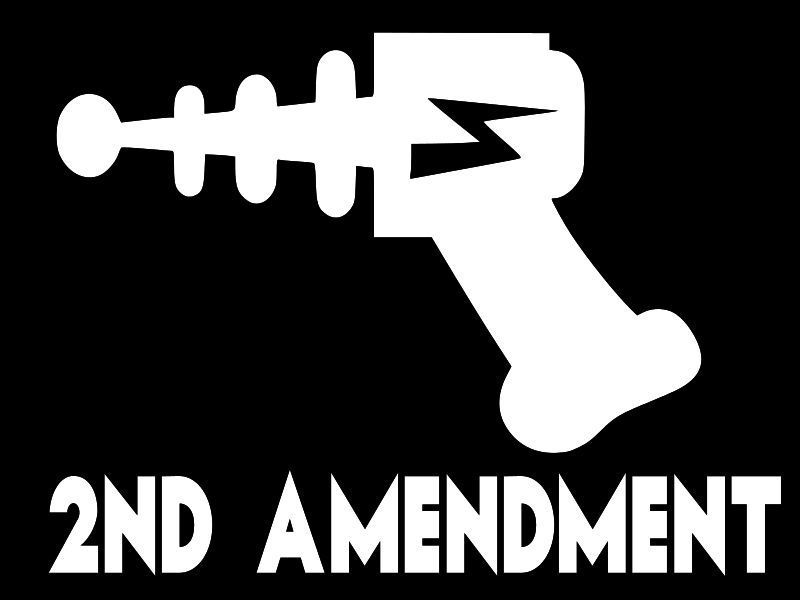 RAY GUN 2nd AMENDMENT Vinyl Decal Car Wall Truck Sticker CHOOSE SIZE COLOR