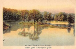 New York Zoological Park~View Of Lake AGASSIZ~1908 Tint Photo Official Postcard - £8.24 GBP