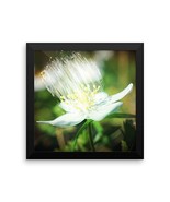 Framed Art Flower Poster - Ready To Hang Picture - Wall Decor - $39.81 CAD