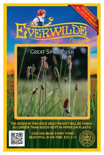 1000 Great Spike Rush Native Grass Seeds Farms Mylar Seed Packet Fresh Garden - £7.33 GBP