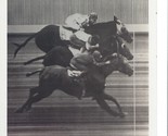 TRIPLE DEAD HEAT 8X10 PHOTO HORSE RACING PICTURE JOCKEY AQUEDUCT - $4.94