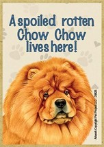 A spoiled rotten Chow Chow lives here! Nice Fridge Locker Dog Magnet 2.5X3.5 NEW - £3.98 GBP